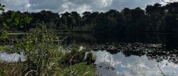 Afbeelding bij Wandelen voor <br>Stichting Met je Hart